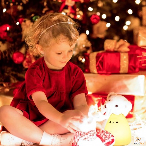 Adorable Cat Lamp: Silicone Kitty Night Light for Kids, Teens, and Cat Lovers - Perfect Gift for Birthdays and Christmas.